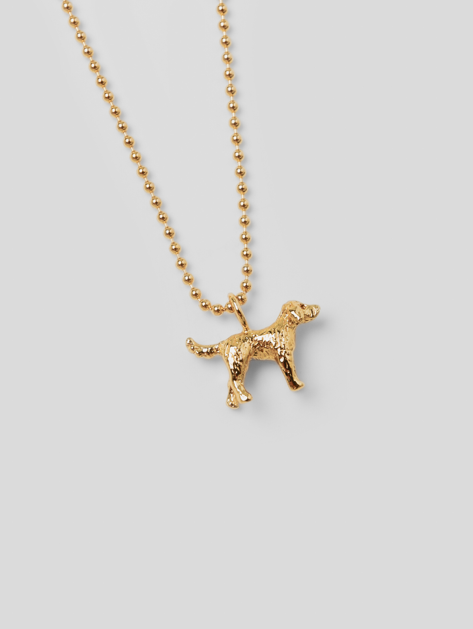 Gold Pendant Dog Photo Jewelry Wolf Circus Puppy Dog Charm Pendant