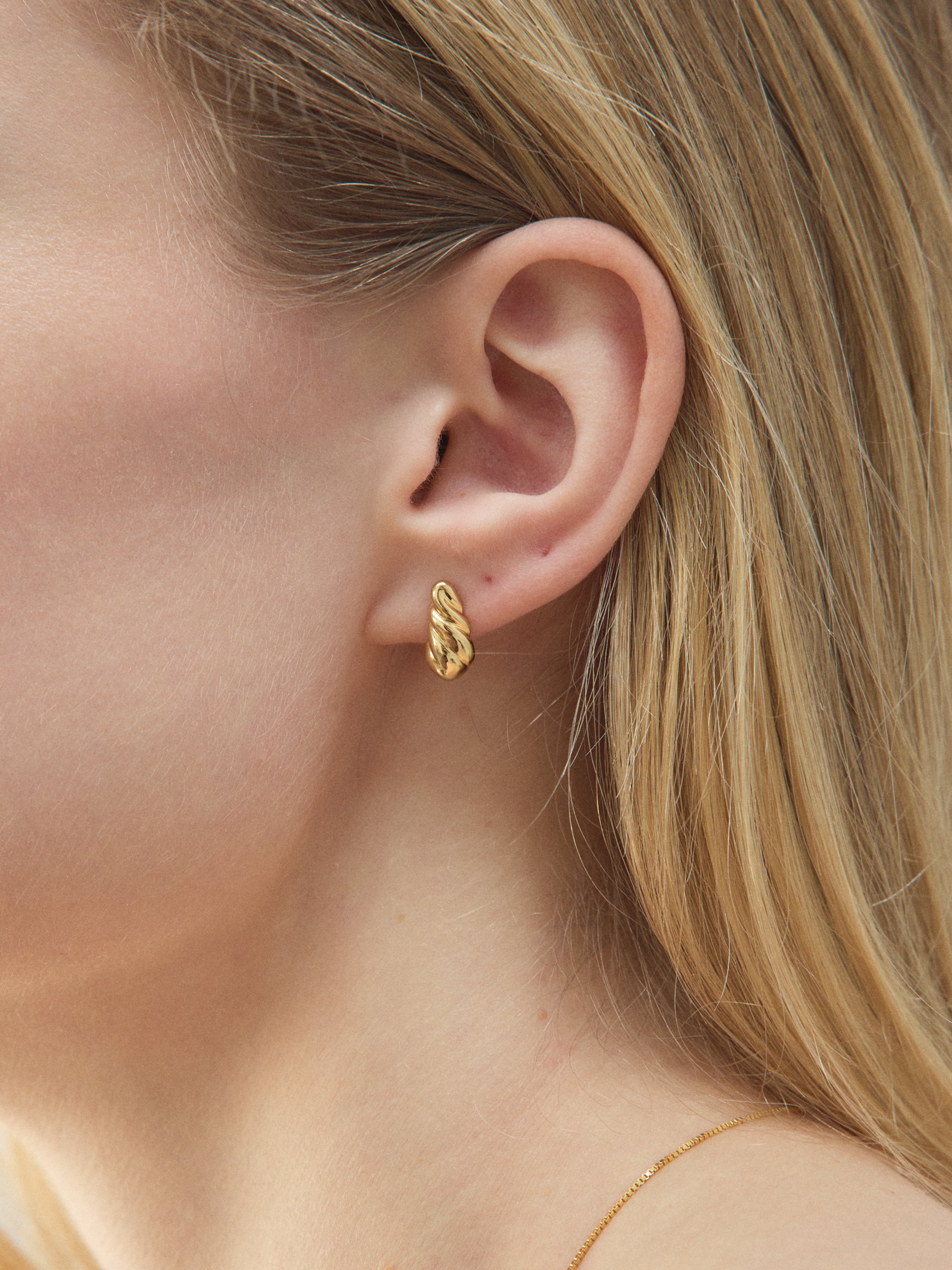 -Earrings-wolfcircus.com