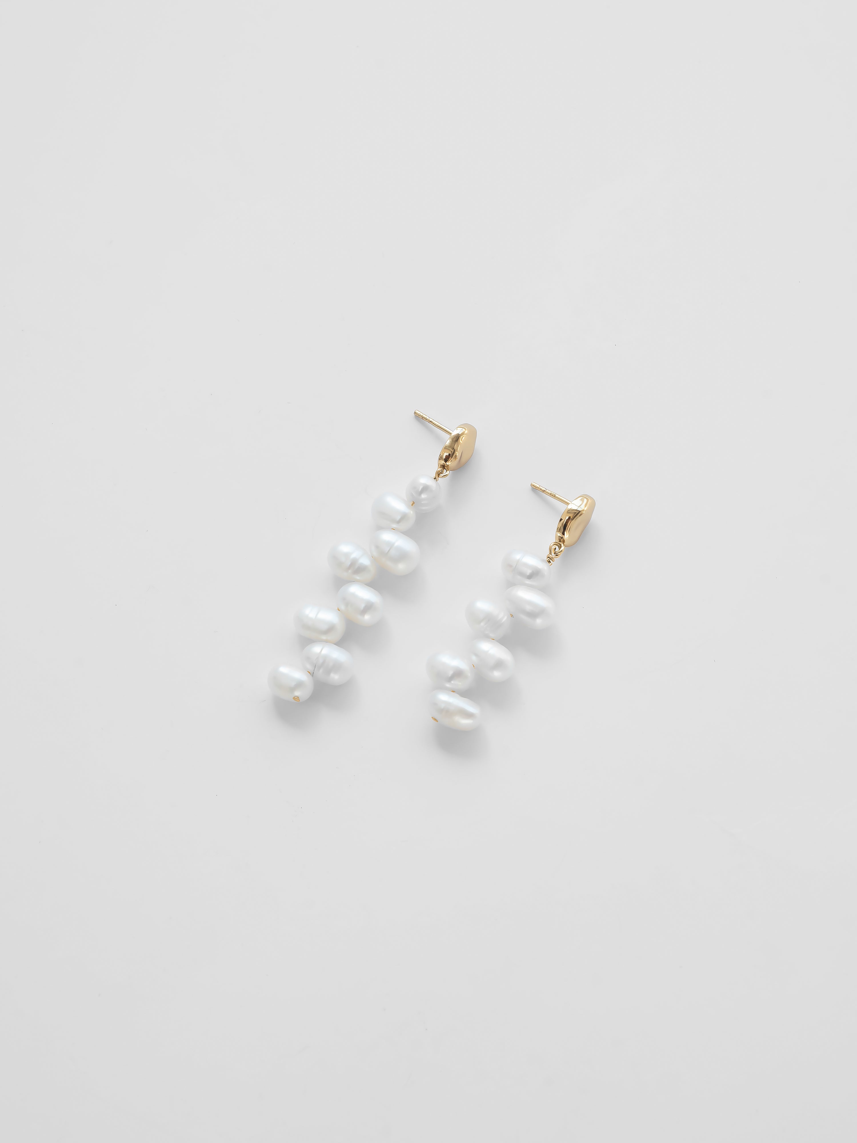 -Earrings-wolfcircus.com