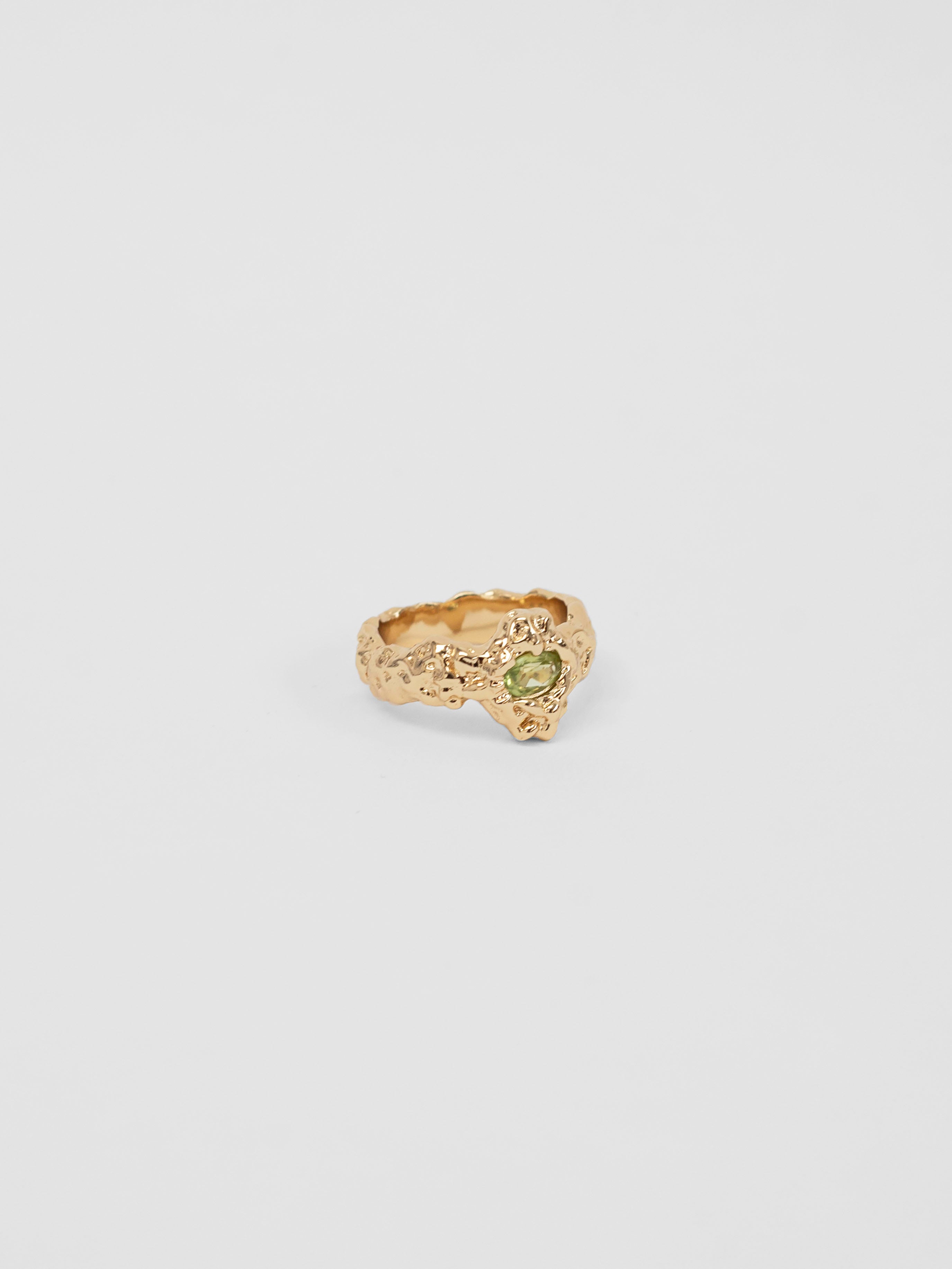 -Rings-wolfcircus.com