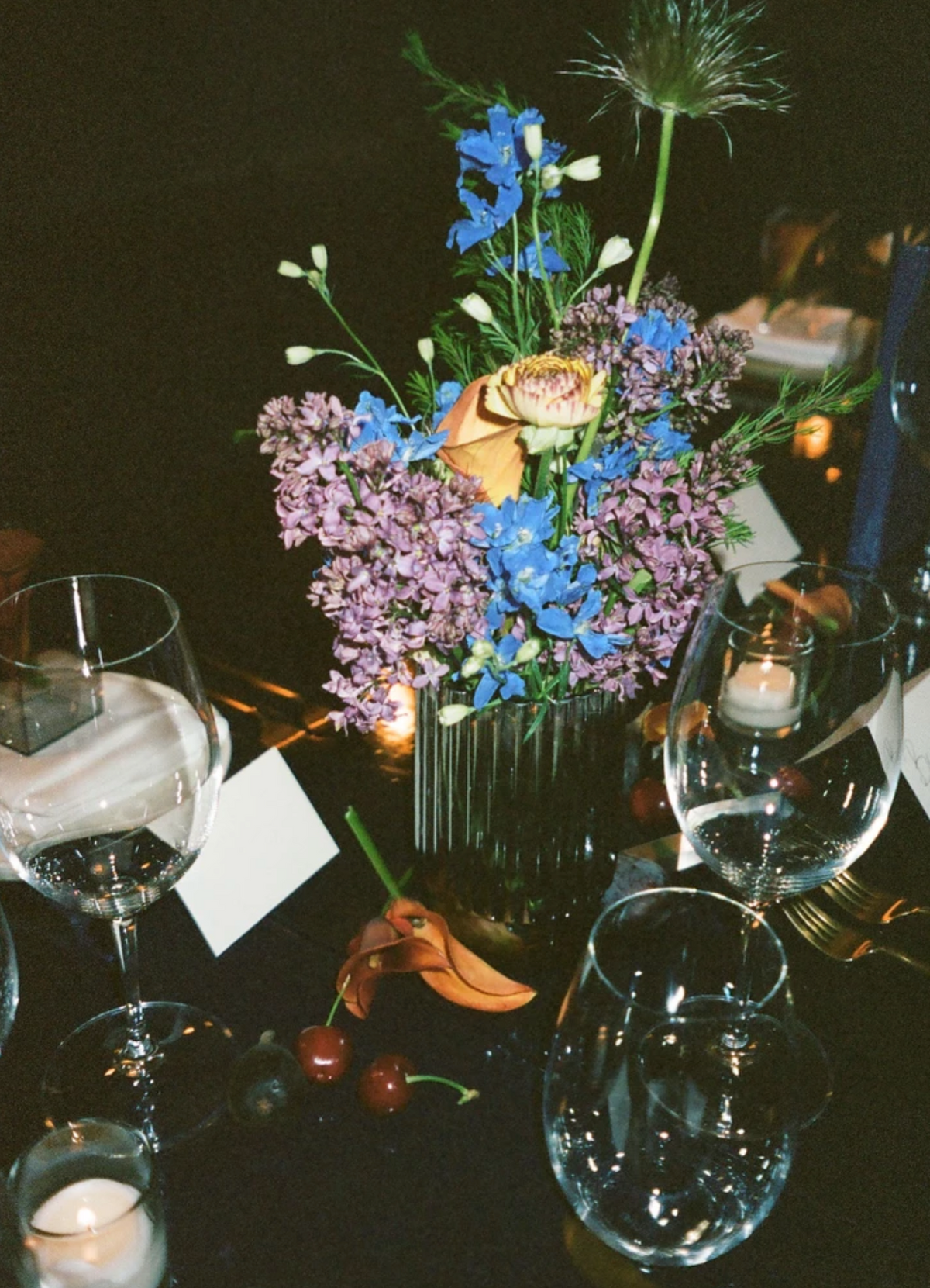 DISPOSABLE DIARIES: A SPRING IN NEW YORK