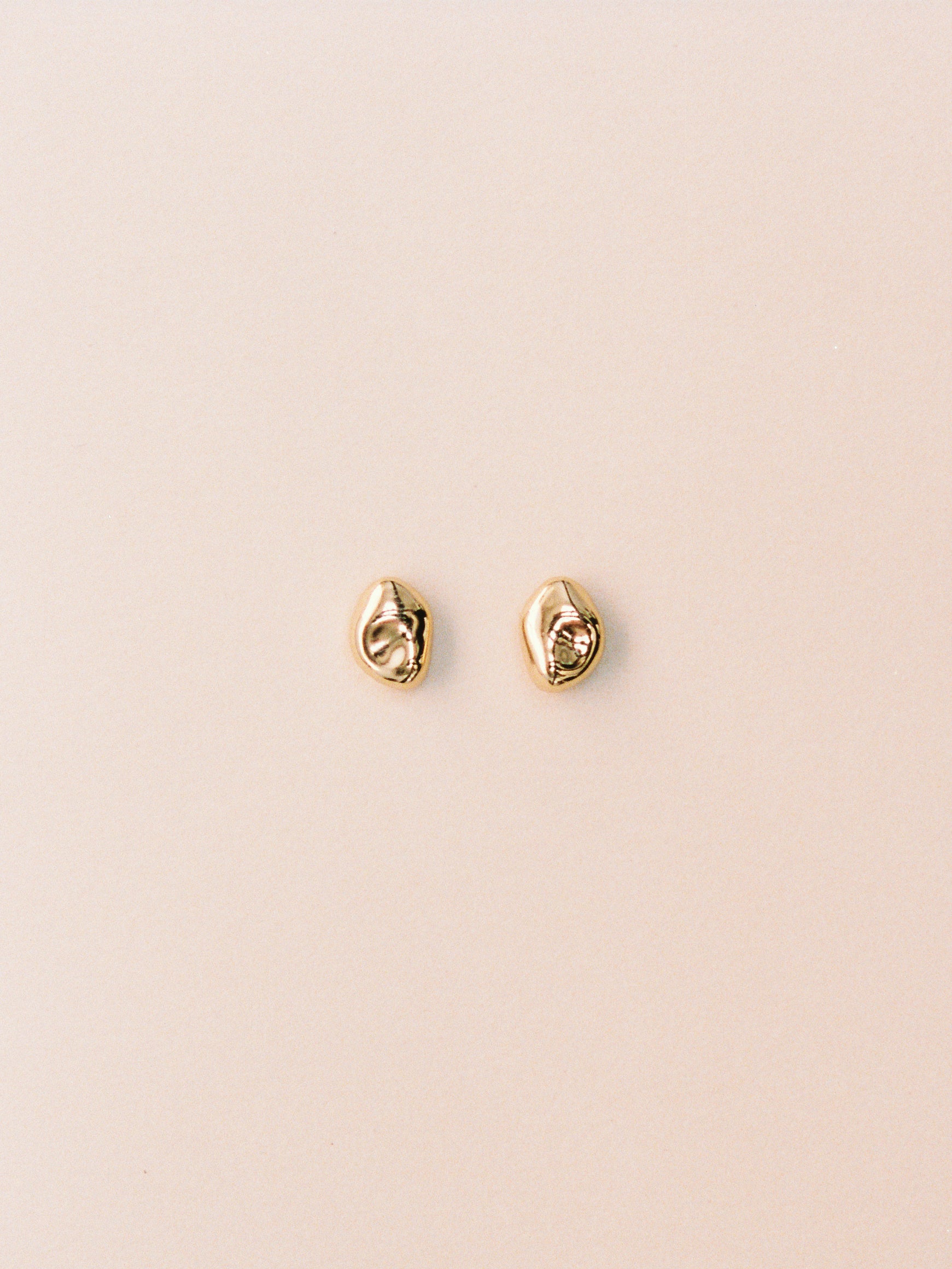 -Earrings-wolfcircus.com