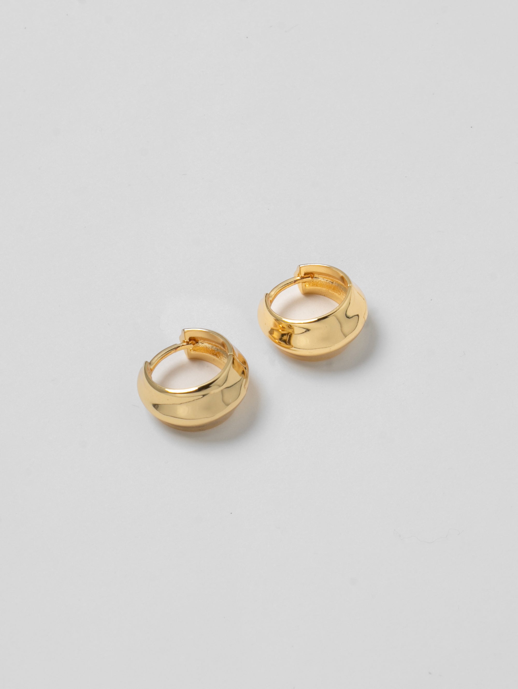 -Earrings-wolfcircus.com