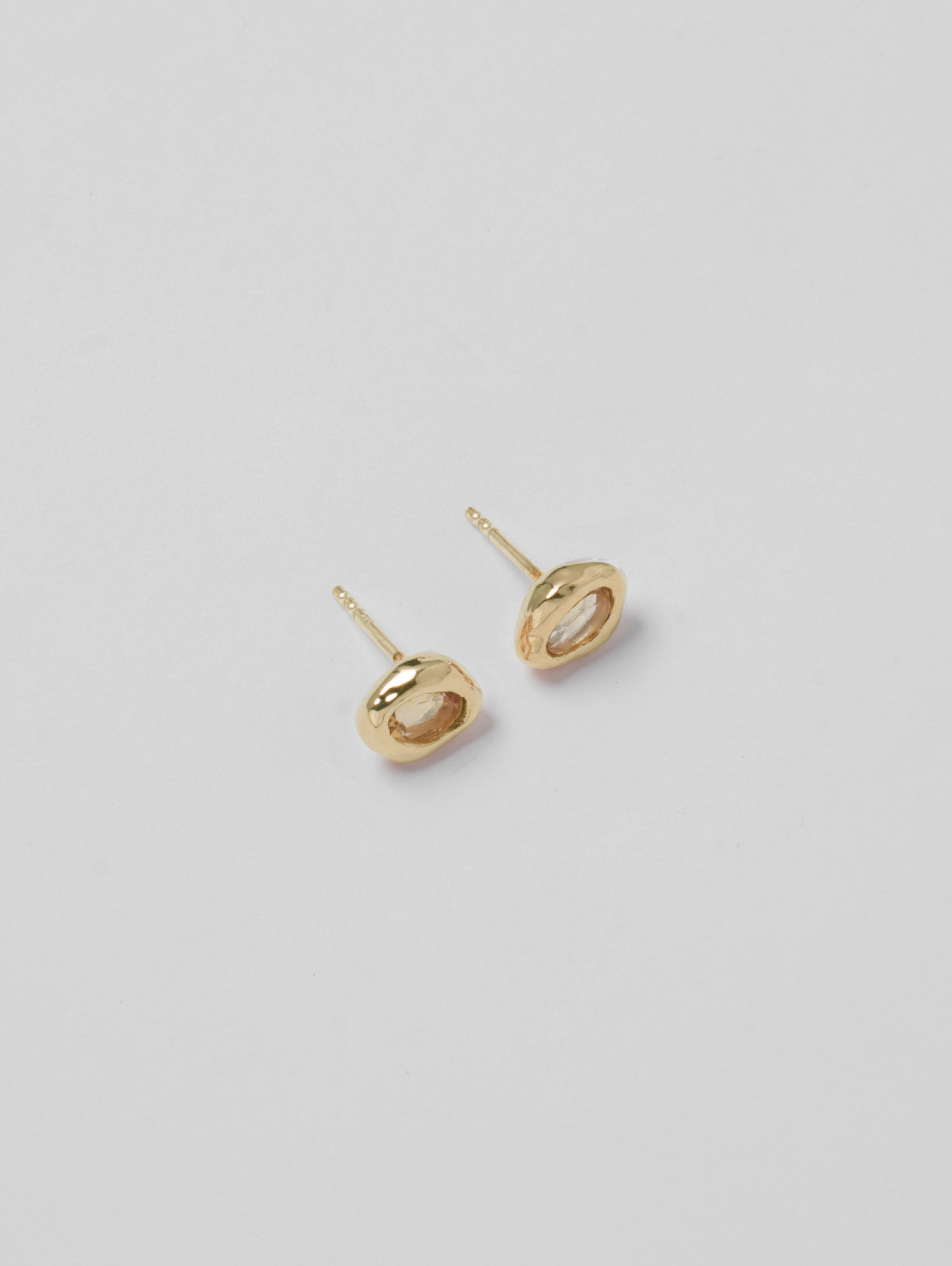 -Earrings-wolfcircus.com