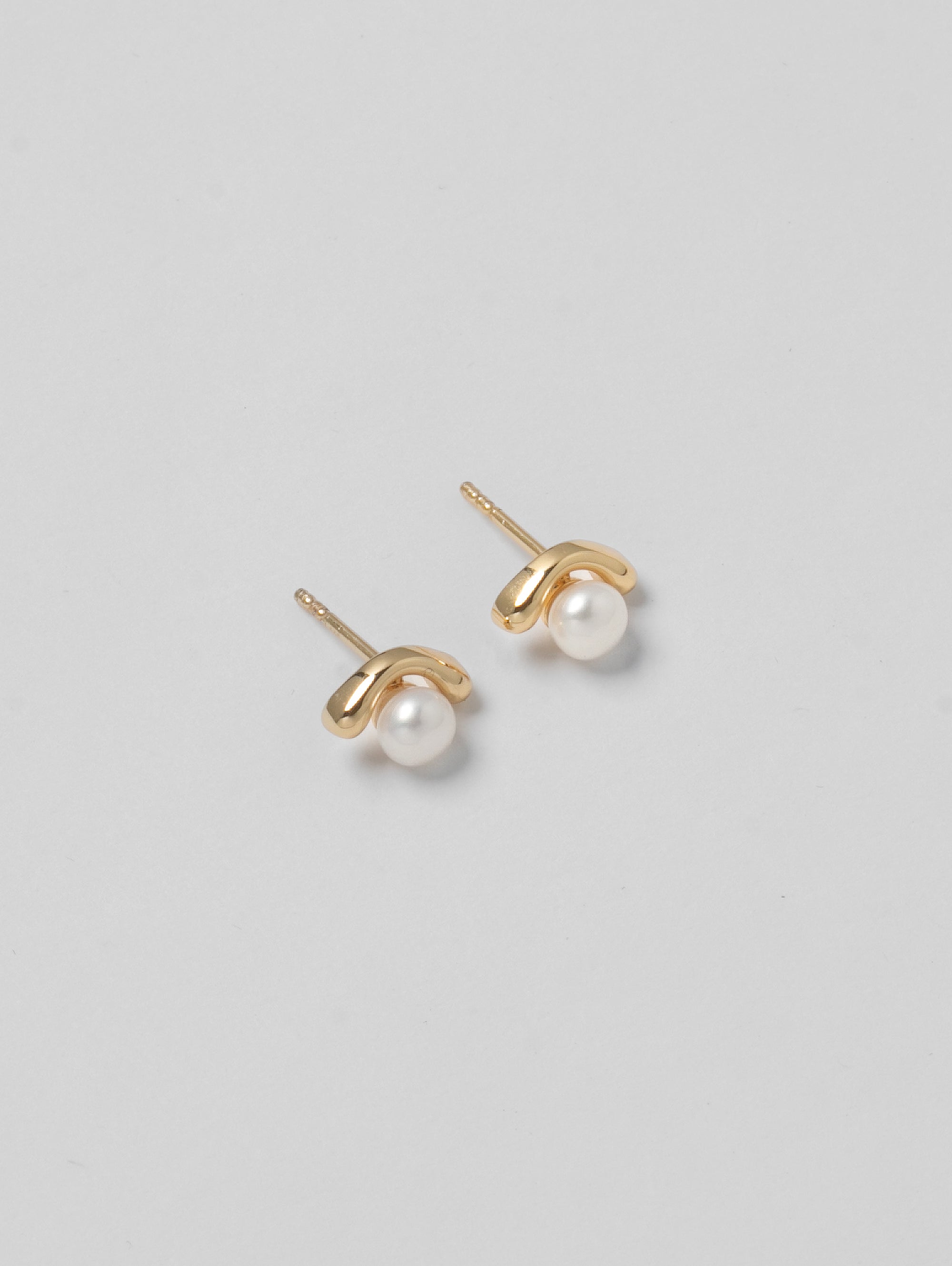 -Earrings-wolfcircus.com