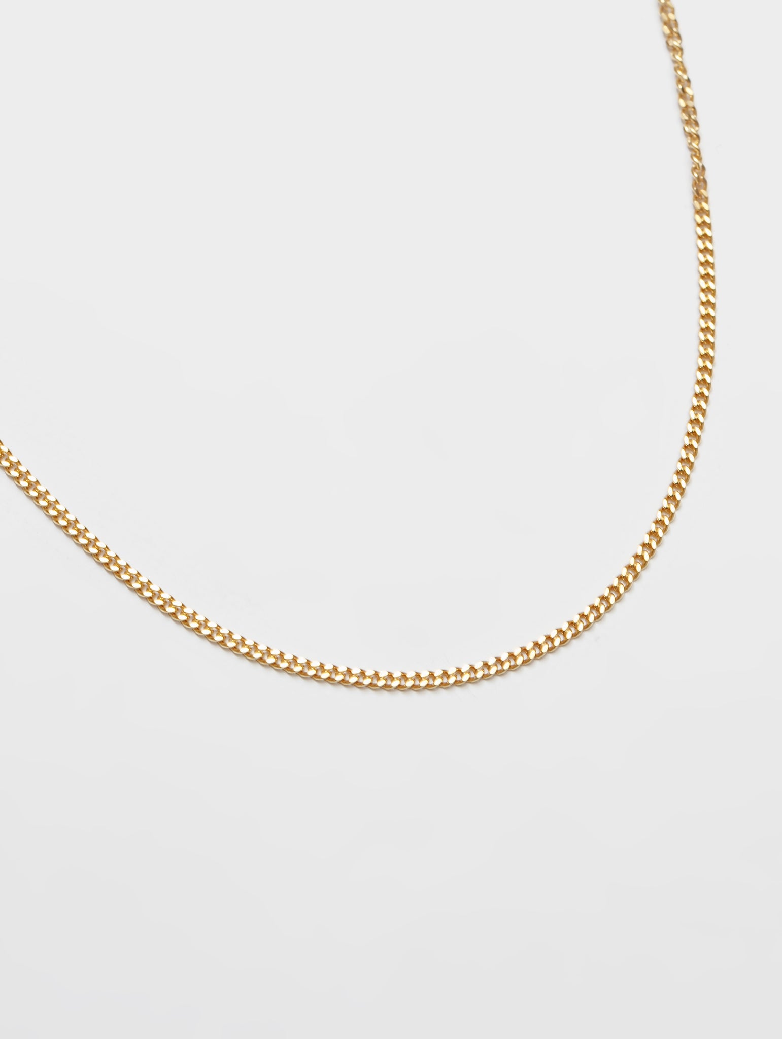 Wolf Circus Curb Chain Necklace in Gold-Necklaces-wolfcircus.com