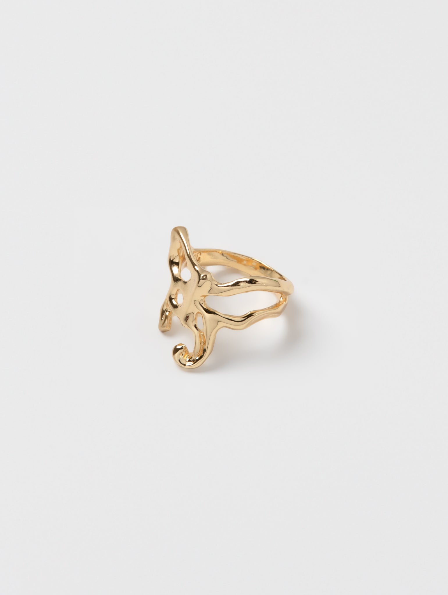 -Rings-wolfcircus.com
