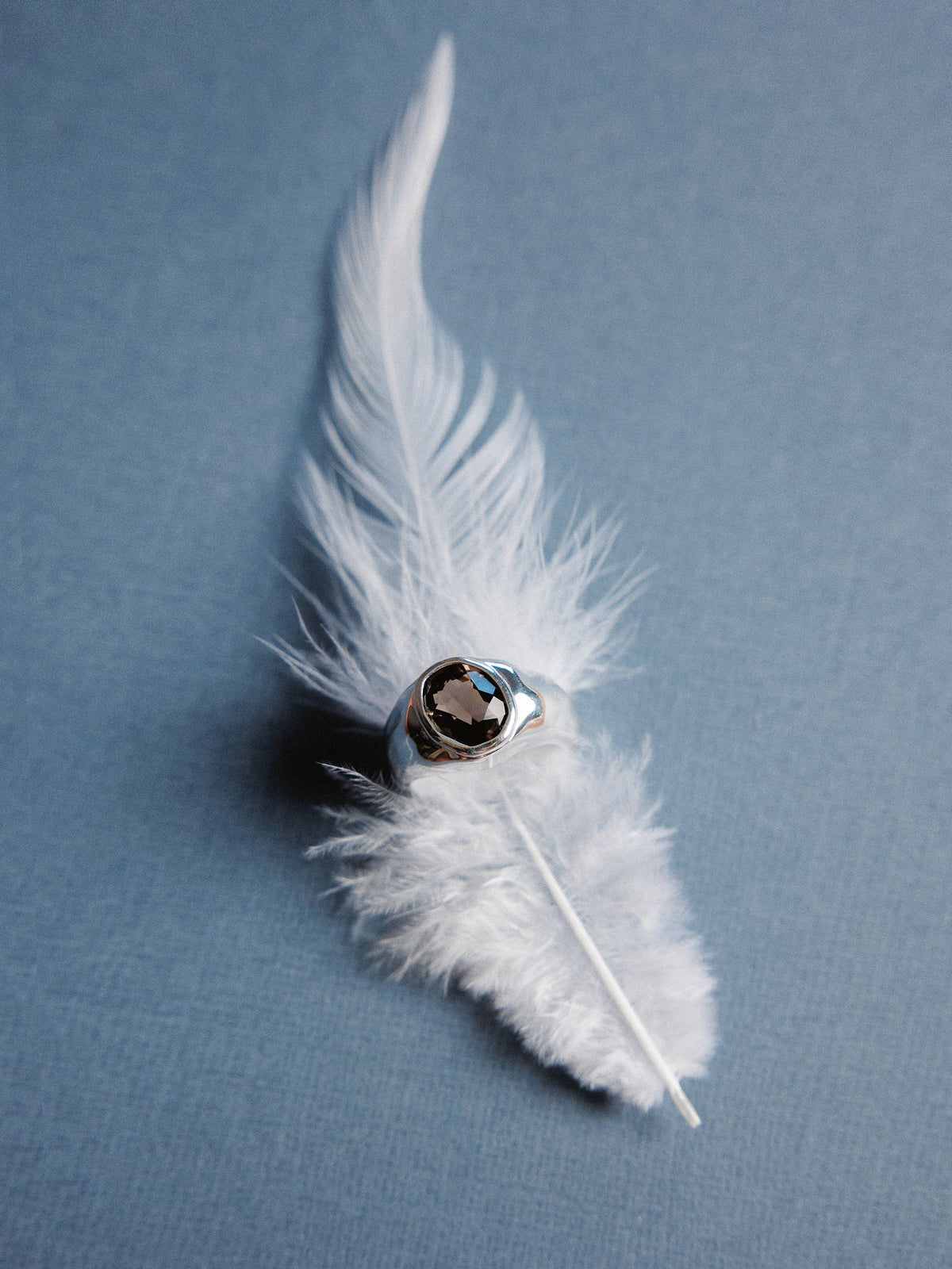 -Rings-wolfcircus.com