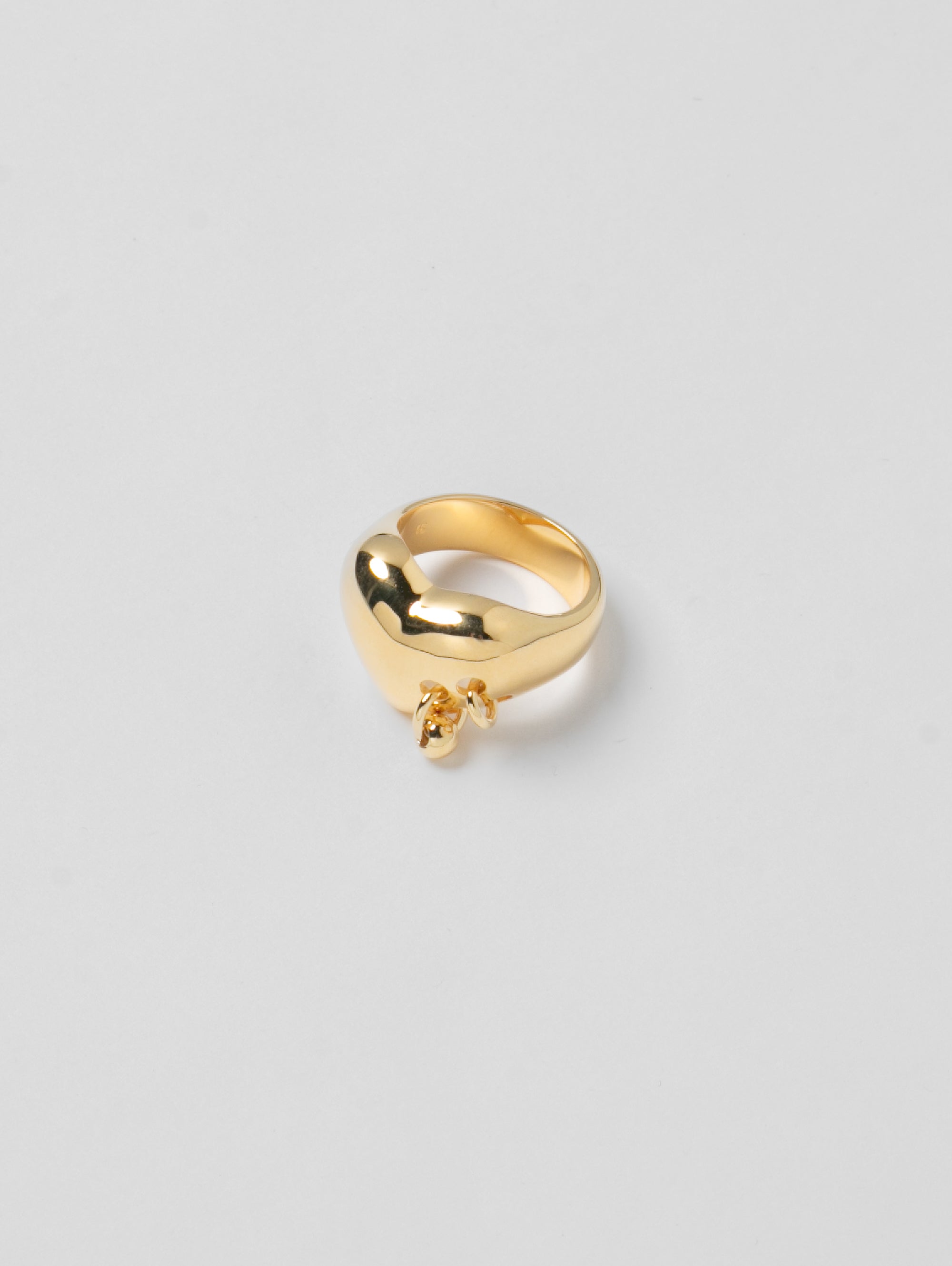 -Rings-wolfcircus.com